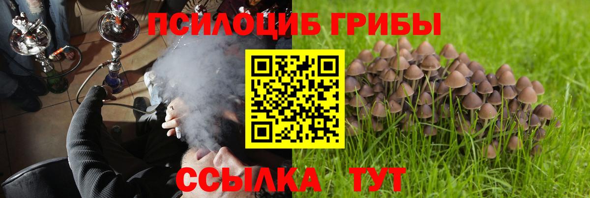 Галлюциногенные грибы мицелий Унеча