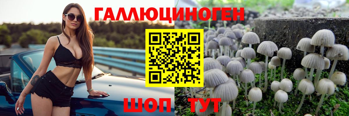 Унеча  Псилоцибиновые грибы Psilocybine cubensis  Вход с VPN 